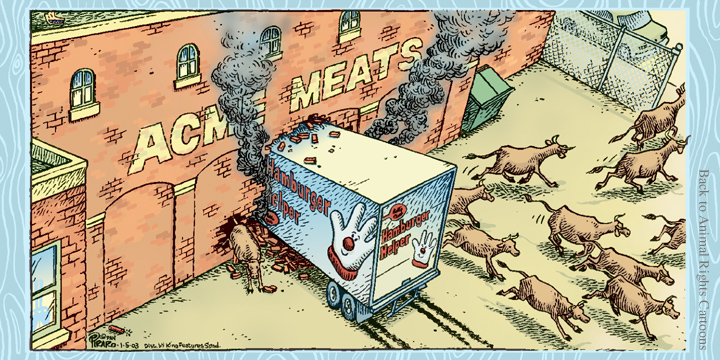 Cartoon by Dan Piraro of Bizarro