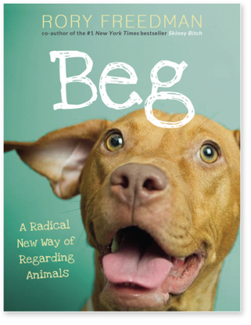 Beg-for-Change-cover