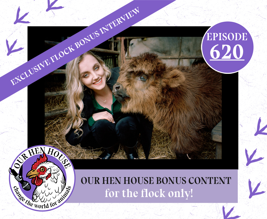 Our Hen House: Vegan & Animal Rights Movement | Stories from the Frontlines of Animal Liberation