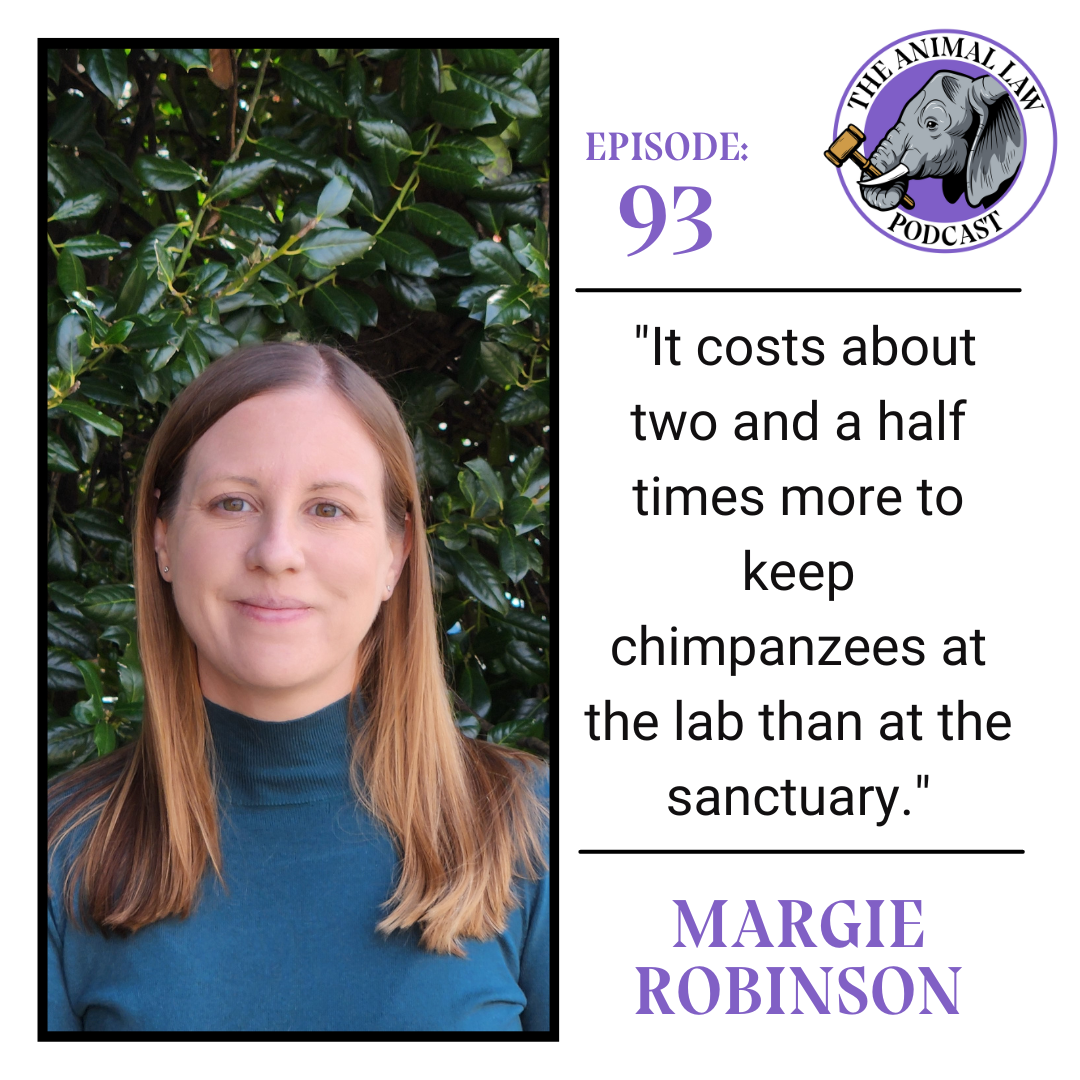 Animal Law Podcast #93: The Apparently Never-ending Case of Sanctuary for Chimpanzees