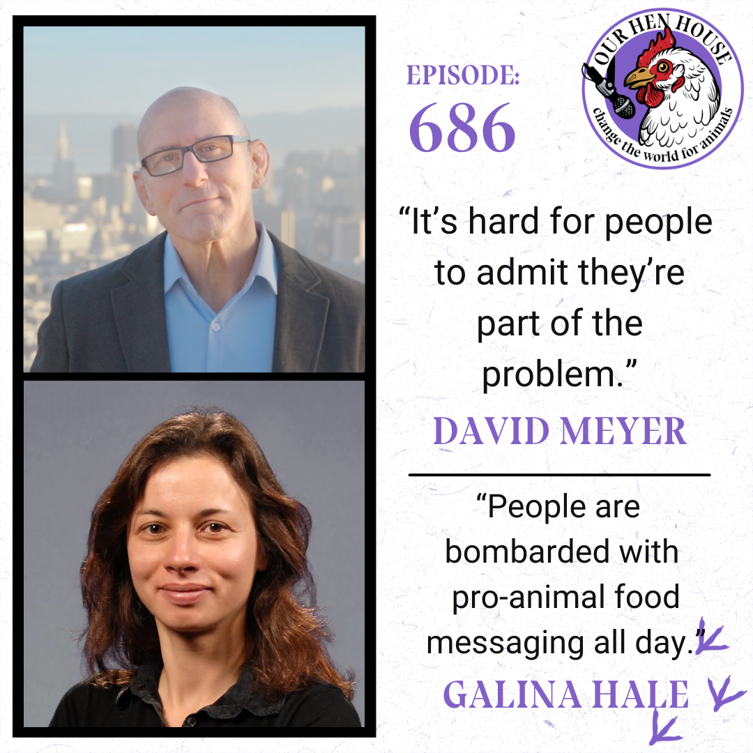 Our Hen House: Vegan & Animal Rights Movement | Stories from the Frontlines of Animal Liberation