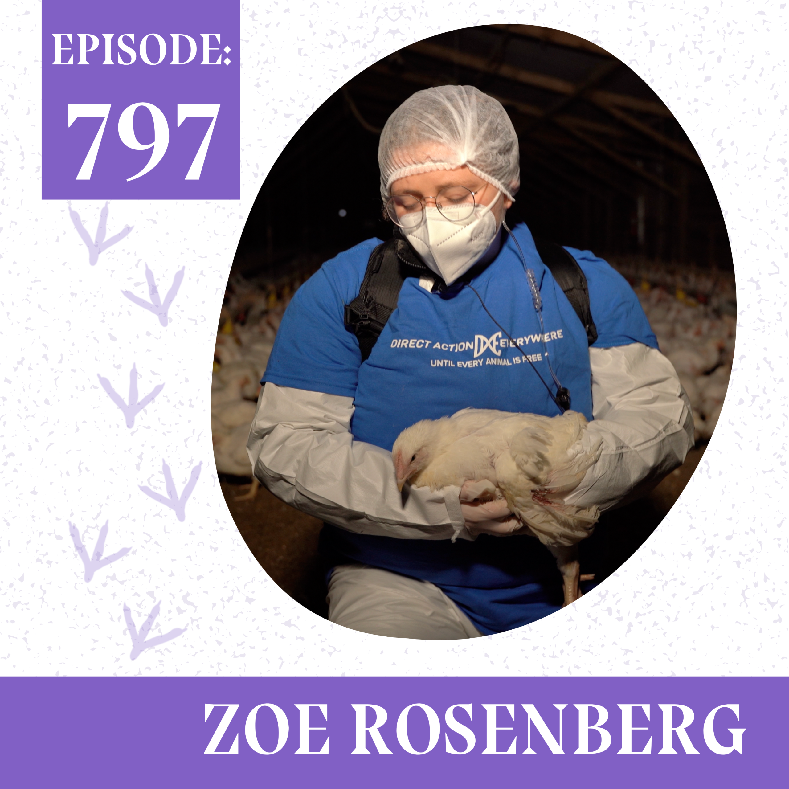 Going to Prison for Rescuing Hens?!? Animal Activism on Trial with Zoe Rosenberg