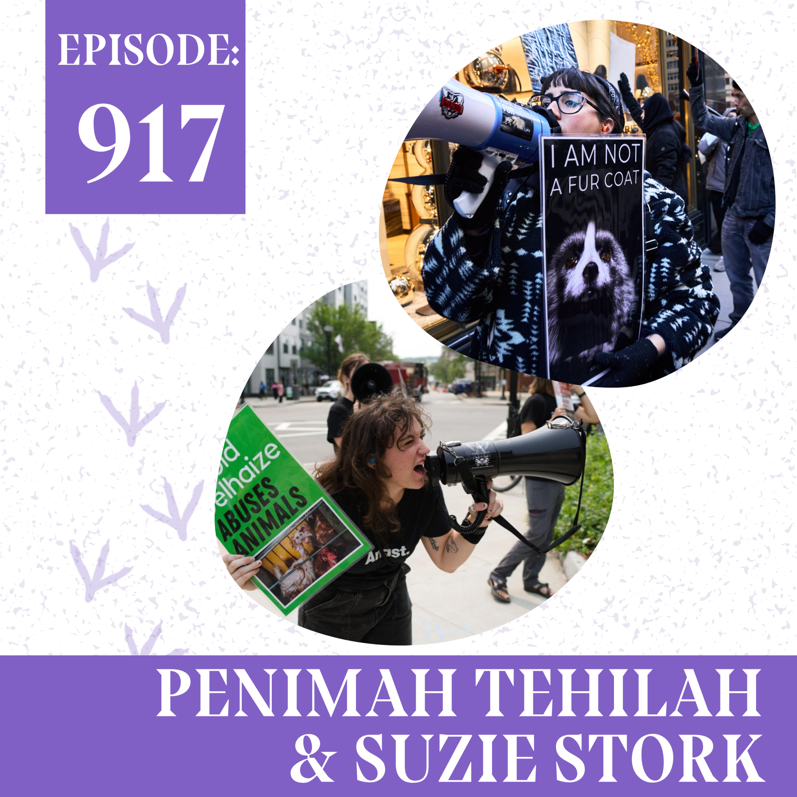 How to Build Winning Animal Rights Campaigns: Grassroots Strategy with Penny Tehilah & Suzie Stork